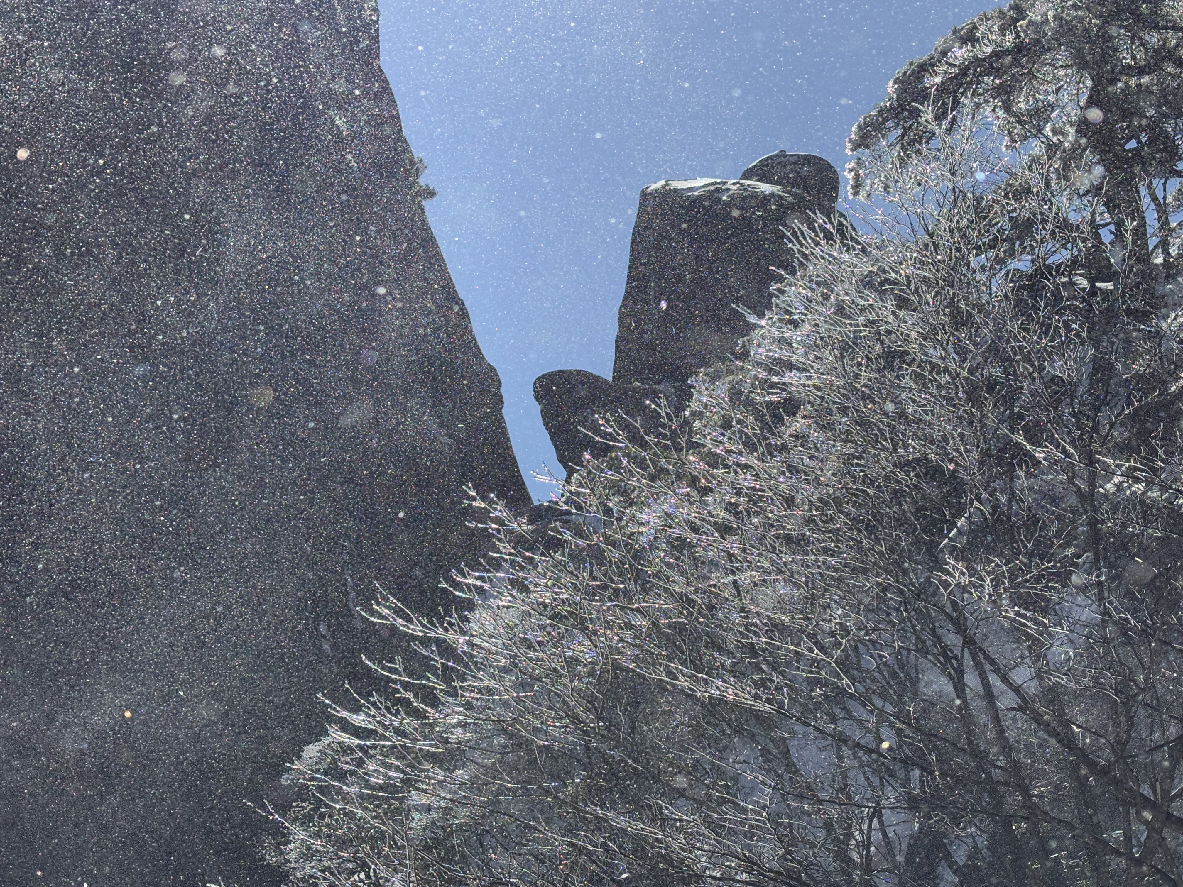 Huangshan Winter Scene 7